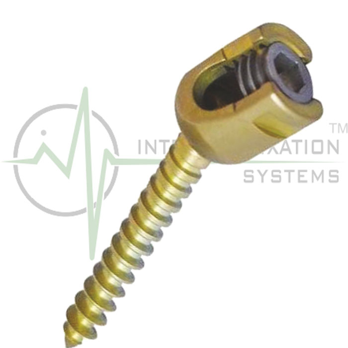 IFS-POLY-AXIAL-SCREW IFS Poly Axial Screw Dia 6.5mm
